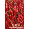 鲜红辣椒大量新鲜红辣椒，欢迎大家来电咨询。
