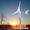 风力发电机小型风力发电机家用风力发电机微风启动高效能300W风力发电机