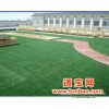 幼儿园足球场空中花园高品质多种高品质的草坪空中花园可做足球场幼儿园
