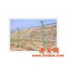 双边丝护栏高品质多种高品质高质量的双边丝护栏网