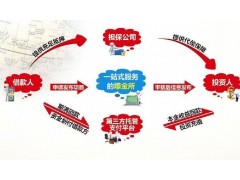投资理财服务公司：广东资深的嚎金所互联网理财平台图1