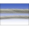优质的不锈钢丝绳——江苏品牌好的201不锈钢丝绳哪里有售