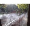 雨顺灌溉出售专业的喷灌系统_南平喷灌系统