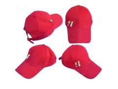 在石家庄怎么买比较好的帽子：批发帽子帽子批发定做厂家帽子低促销图1