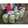 买蔬菜包装袋当然选皇城厂：蔬菜包装袋厂家批发供货厂家