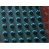[供应]郑州实惠的排水板——周口高密度排水板（彩色