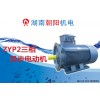 湖南朝阳电机厂家型号ZYP2型宽屏调速异步电机