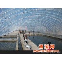 供应 福建塑料大棚工程 大棚设计 大棚制作价格