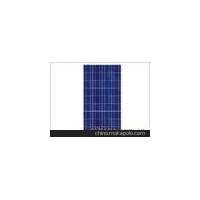 河北省衡水市阿西莫光电供应高量质的太阳能电池板