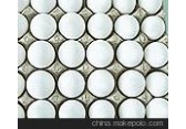 供应隆基SPF种蛋 质量好 价格低