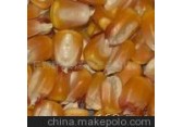 供应其他不限四川卫世采购高粱小麦玉米碎米淀粉大豆