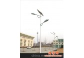 双鸭山、大庆、鹤岗太阳能路灯、太阳能庭院灯