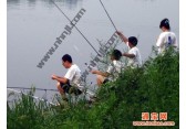 上海滴水湖周边农家乐旅游