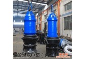 天津中小型轴流潜水电泵-天津轴流泵