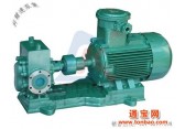 上海WCB手提式齿轮泵直销高性能