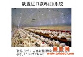 欧盟进口养鸡LED系统诚招国内代理