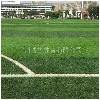特人造草坪就在广州博华体育——黔东南人造草坪