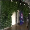 北京专业的立体绿化墙施工公司，当属天利丰泰园林绿化——延庆园林养护