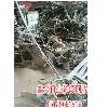 河南鑫兴再生资源，受欢迎的废旧自行车架服务商