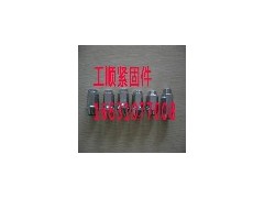 河北品质中国钢板螺栓，中国钢板螺栓图1