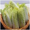 口碑好的叶菜类蔬菜供应商_扬州市绿林蔬菜合作社热销扬州绿色蔬菜