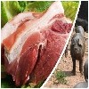声誉好的生态有机猪肉供应商_供应黑猪肉