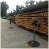 松木板材出售|临沂利华木业提供的松木板材怎么样|松木单板报