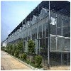 山东结实耐用的玻璃温室