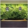 利达花卉行_放心的哈尔滨智能植物墙制作租赁公司