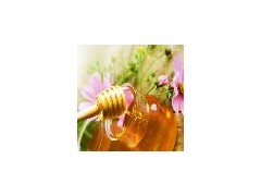 自然成熟蜂蜜上哪买比较实惠_厂家供应原生态蜂蜜图1