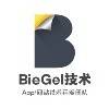 深圳app系统开发/开发/网页设计/小程序技术开发公司
