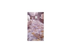 营口洗浴地毯选海马地毯销售_格优惠河北地毯图1