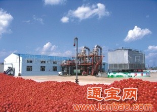 果酱设备番茄酱加工设备番茄酱生产线高品质食品机械