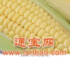 ♀武汉佳农实业♂求购玉米，小麦，麸皮，次粉，棉粕，大豆，大麦