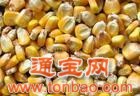 求購玉米、蠶豆、豆粕、大豆、高粱、菜粕等