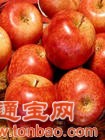 求購蘋(píng)果