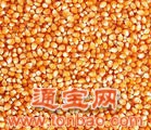 金山饲料厂常年求购大米大豆小麦玉米