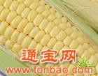 武汉金山饲料厂常年求购大米玉米大豆小麦