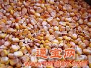购玉米高粱大豆（仙女养殖场）