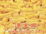 航盛飼料廠(chǎng)現款求購小麥玉米大豆大米粕類(lèi)等原料