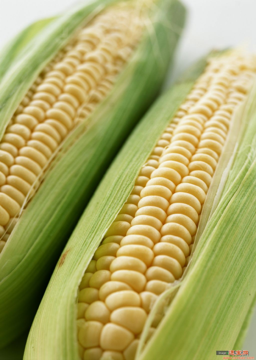 国健酒业养殖基地求购玉米高梁小麦、