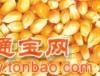 東糧現款求購玉米大豆高梁糠粕棉粕