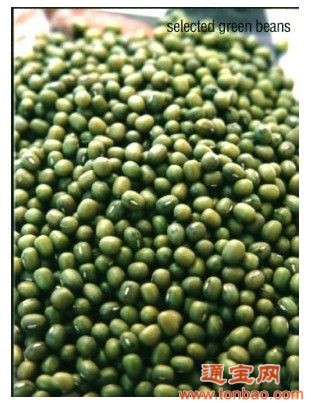 ◆武汉蒙德（集团)公司◆现金收购绿豆 玉米 黄豆 高梁 豌豆 蚕豆等农产品