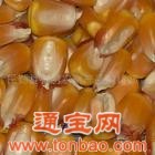 湖北希望求購玉米大豆棉粕魚(yú)粉次粉等飼料原料