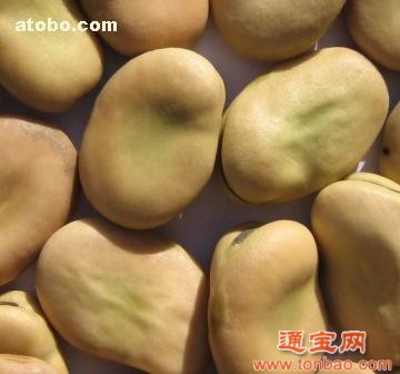 武汉蒙德（集团)公司现金收购豆粕 菜粕 棉粕 豌豆 蚕豆等农产品