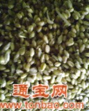 大量收购粳米高粱蚕豆