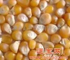 求購(gòu)玉米.豆粕菜粕等飼料原料