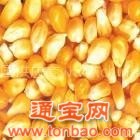 弘钢粮油求购大米大豆糯米小麦玉米高粱