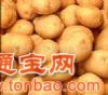 内蒙古恒旺公司现金高价大量面向全国求购马铃薯、土豆、洋芋