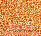 求购玉米 小麦 大豆 麦麸 麸皮等饲料原料